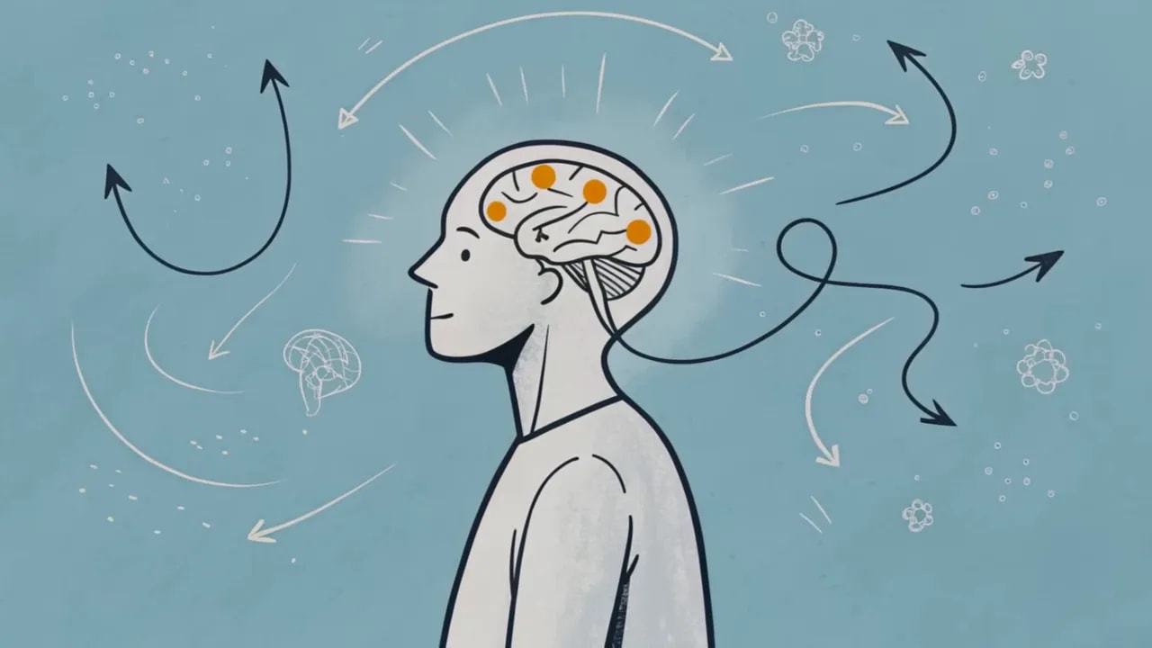 Illustration eines Kopfes mit hervorgehobenen Gehirnarealen und Pfeilen, die neuronale Verbindungen symbolisieren