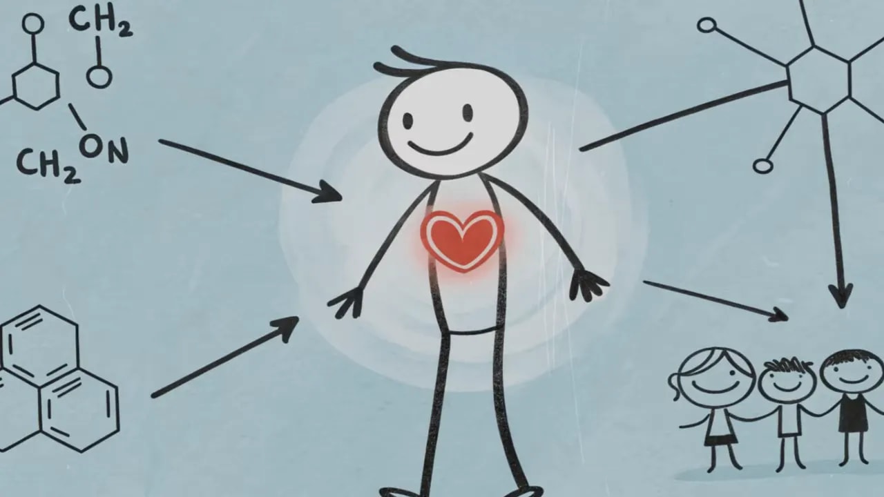 Klare Illustration eines Strichmännchens mit hervorgehobenem Herz und chemischen Symbolen, die Bindung darstellen